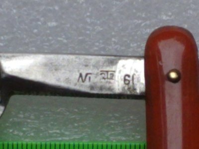31604723.jpg