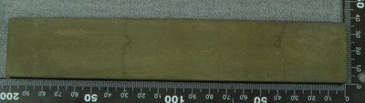 IMG_4182.JPG