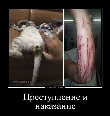 IMG_1587.JPG (74.71 КБ) 13675 просмотров IMG_1587.JPG