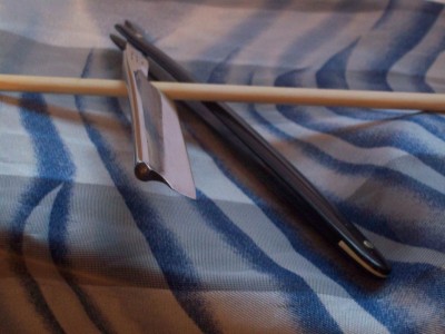 Resize of 100_7619.JPG