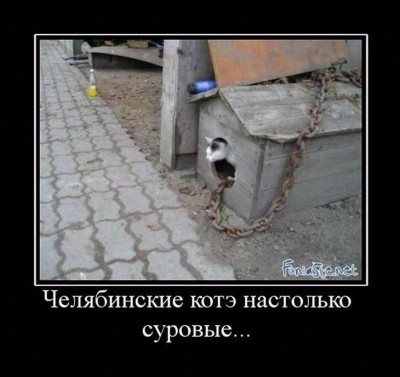 IMG_1598.JPG (91.56 КБ) 13310 просмотров IMG_1598.JPG