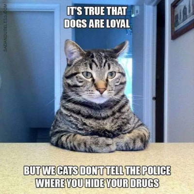 CF25F8F4-9C5C-4703-86F3-95AA12B12D57.jpeg (85.19 КБ) 12959 просмотров CF25F8F4-9C5C-4703-86F3-95AA12B12D57.jpeg