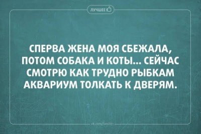 D78FEE51-EF3A-424B-B2B7-72DAEBE2AB71.jpeg