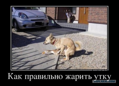 9794164.jpg (100.93 КБ) 12454 просмотра 9794164.jpg