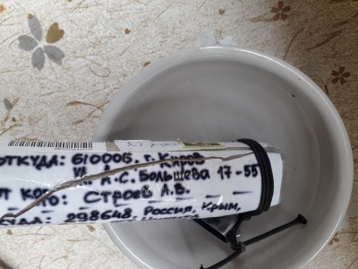 20190821_155723.jpg (4.36 МБ) 22090 просмотров 20190821_155723.jpg