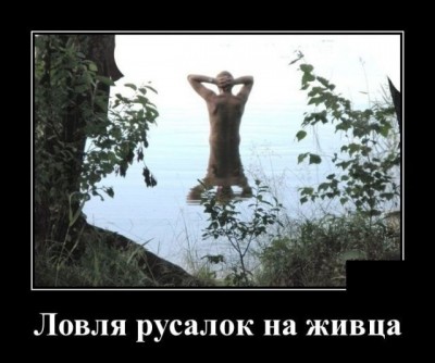 IMG_1918.JPG (84.65 КБ) 14120 просмотров IMG_1918.JPG