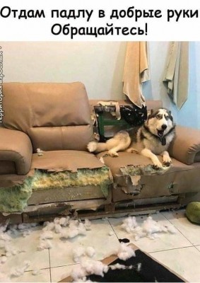 i.jpg (66.84 КБ) 13351 просмотр i.jpg