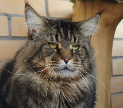 beYVPtLC4fs.jpg (502.78 КБ) 12395 просмотров beYVPtLC4fs.jpg