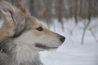 DSC_0051.JPG (255.25 КБ) 32432 просмотра DSC_0051.JPG