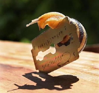 7114557.jpg (98.57 КБ) 27573 просмотра 7114557.jpg