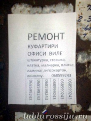 01134312445424233.jpg