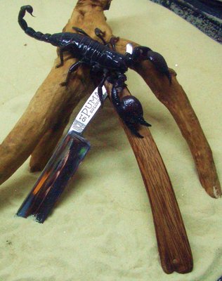 CIMG821.jpg (230.44 КБ) 22583 просмотра CIMG821.jpg