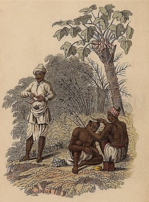 Bradobrei.87.Malabar barber.Rudolph Ackermann, London, 1822.jpg