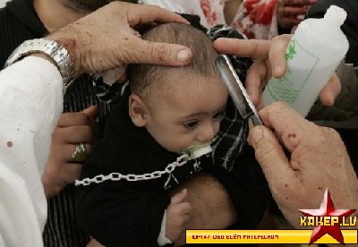 1212694770_20080121162746518_9.jpg (131.08 КБ) 19446 просмотров 1212694770_20080121162746518_9.jpg