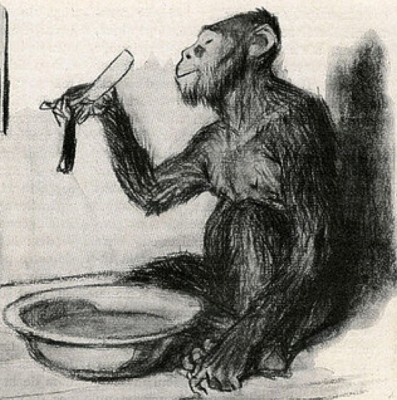 Bradobrei.701a.RueMorgue.JacquesWely.jpg