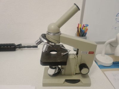 20220121_200147.jpg (1.93 МБ) 9659 просмотров 20220121_200147.jpg