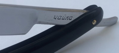 IMG_6296.jpg