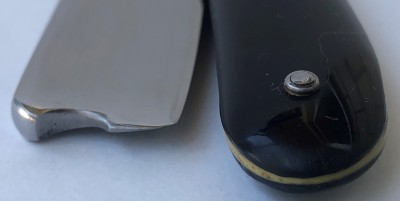 IMG_7267.jpg