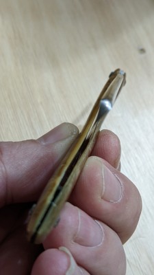 PXL_20241114_170413548.jpg