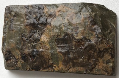 IMG_0539.jpg (2.24 МБ) 13631 просмотр IMG_0539.jpg