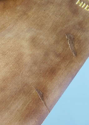 IMG_3788.jpg (1.51 МБ) 4900 просмотров IMG_3788.jpg