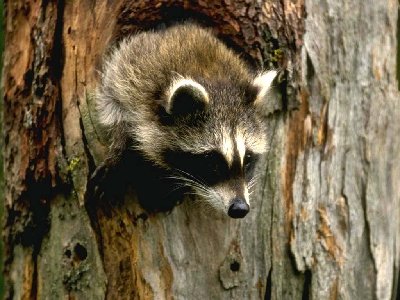 0133.jpg (107.58 КБ) 38244 просмотра 0133.jpg