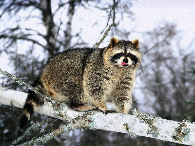 0486.jpg (213.42 КБ) 38228 просмотров 0486.jpg