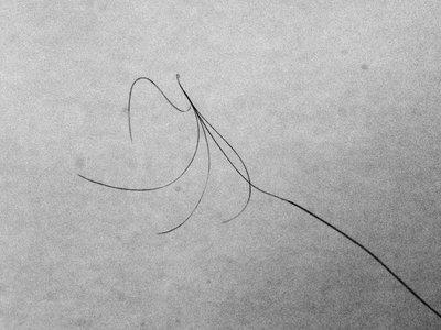 P7140004-bw-1280.jpg (176.08 КБ) 18887 просмотров P7140004-bw-1280.jpg