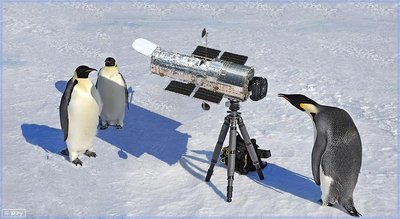 Hubble_Pengs.jpg