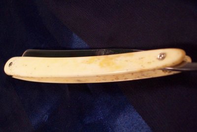 Resize of 101_1263.JPG