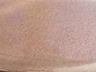 P2050003-1280.jpg