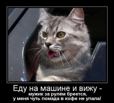 dmtmp_imgdmr_1320557620_2056.jpg (36.21 КБ) 14508 просмотров dmtmp_imgdmr_1320557620_2056.jpg