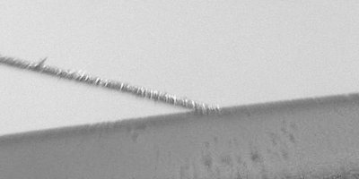 P3190002-640 bw.jpg