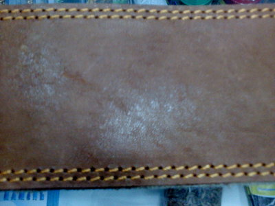 DSC00186.JPG