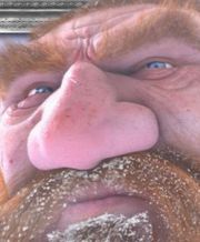 180px-Gnombeard.jpg