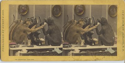 4245856119_d7ecbd3d6a_o.jpg (249.26 КБ) 20753 просмотра 4245856119_d7ecbd3d6a_o.jpg