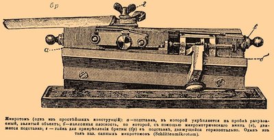 b37_259-0.jpg