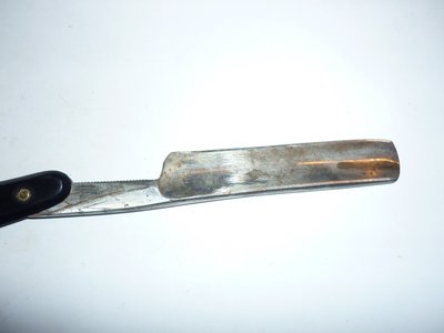 drujba5.jpg