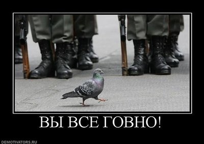 вы все говно.jpg