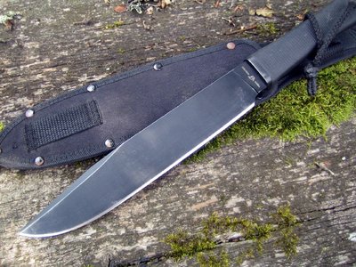 IMG_3186.JPG (144.1 КБ) 17315 просмотров IMG_3186.JPG