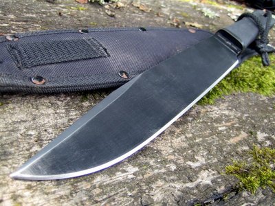 IMG_3187.JPG (121.59 КБ) 17312 просмотров IMG_3187.JPG