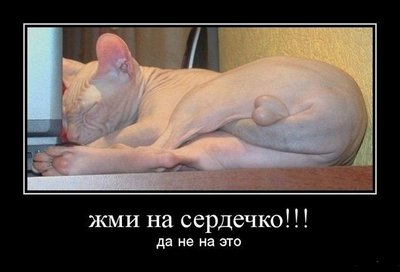 57N17yGqKcw.jpg