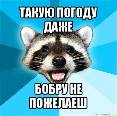 lPJeZmDZIZk.jpg