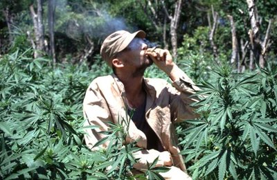 otpusk.jpg (59.99 КБ) 16014 просмотров otpusk.jpg