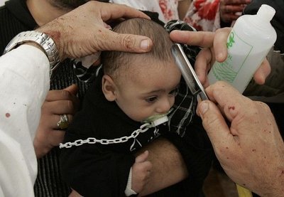 7.jpg (46.21 КБ) 14129 просмотров 7.jpg