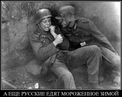 1956268.jpg
