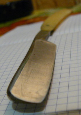 P1090029.jpg