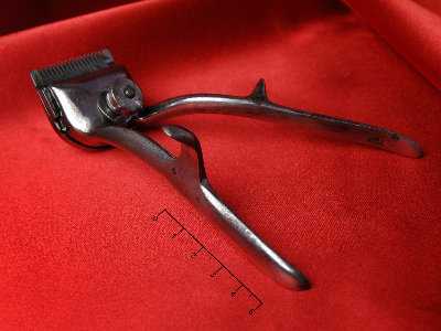 DSC_1496v.jpg (302.69 КБ) 47131 просмотр DSC_1496v.jpg