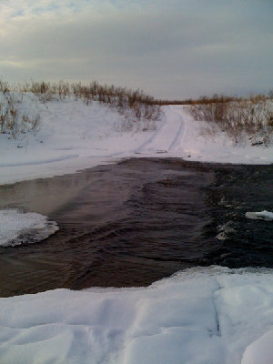 photo1.jpg