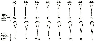 Henckels-Chart.jpg